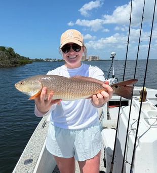 Lines tight on Anna Maria Island